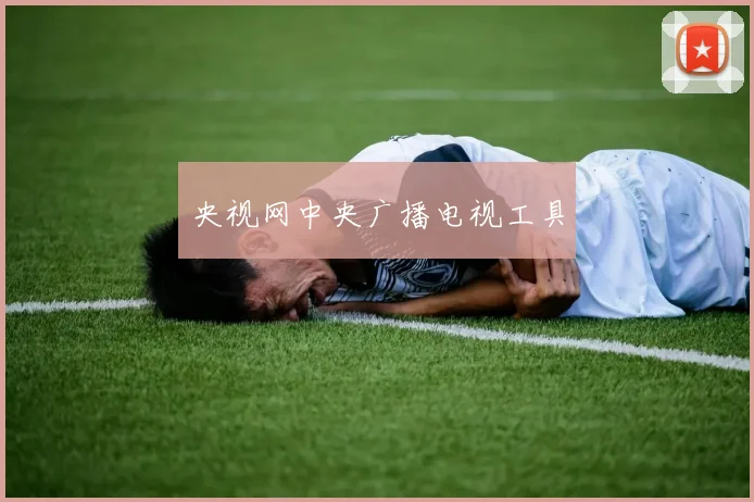 央视网中央广播电视工具