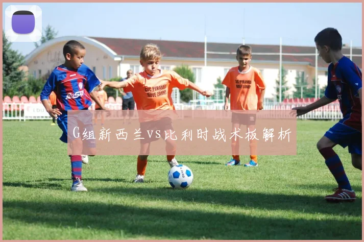 G组新西兰vs比利时战术板解析