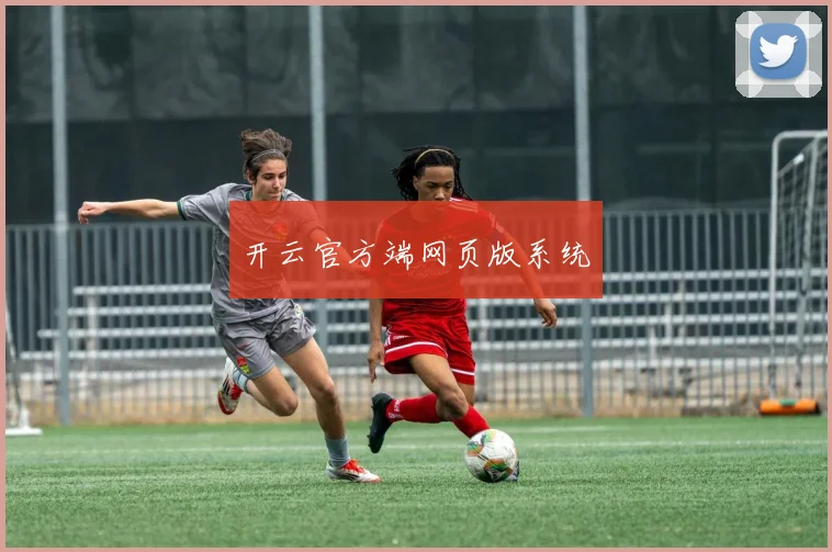 开云官方端网页版系统