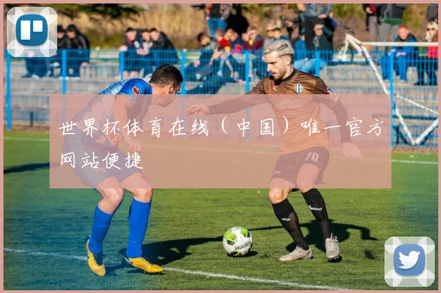 世界杯体育在线（中国）唯一官方网站便捷
