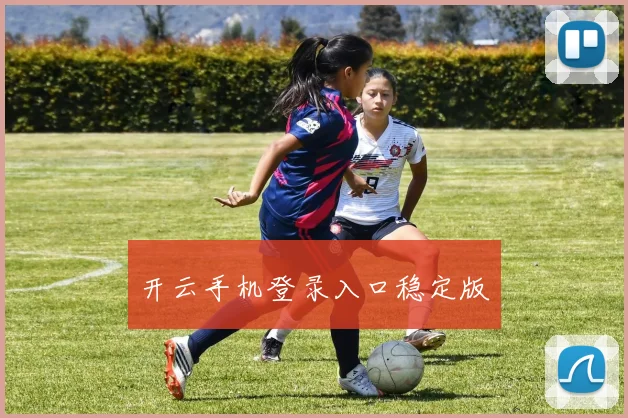 开云手机登录入口稳定版