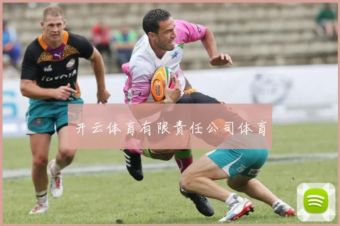 开云体育有限责任公司体育