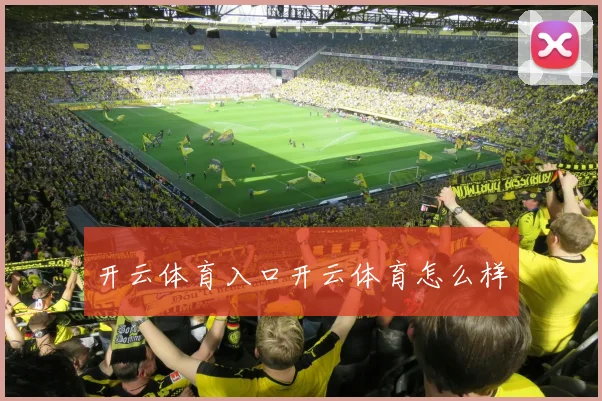 开云体育入口开云体育怎么样