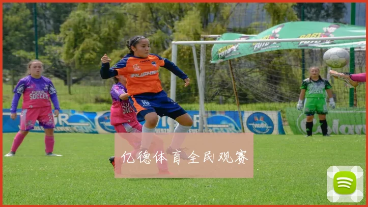 亿德体育全民观赛