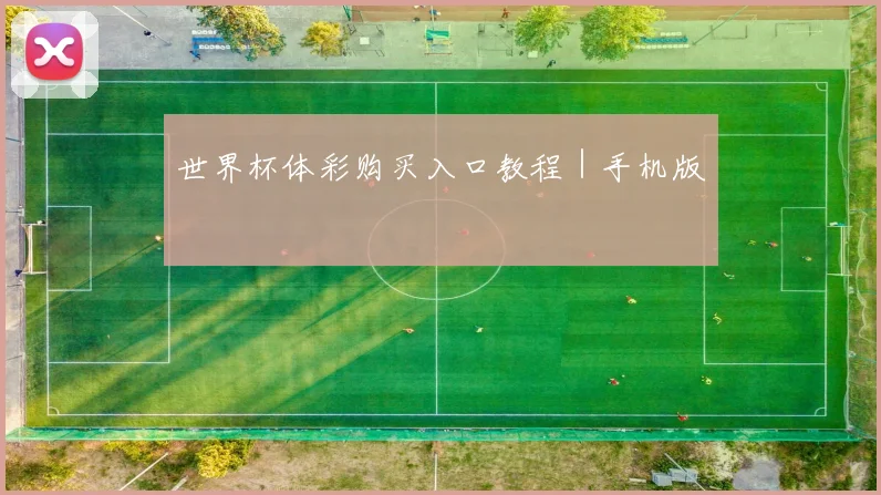世界杯体彩购买入口教程｜手机版