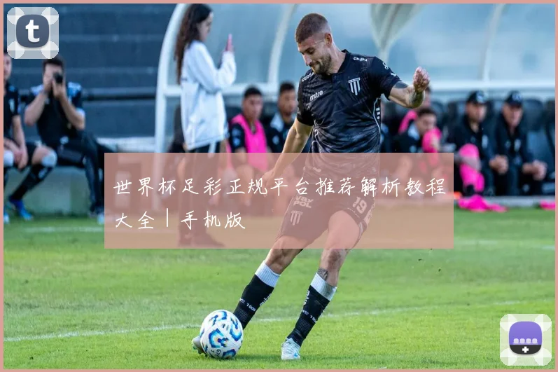 世界杯足彩正规平台推荐解析教程大全｜手机版