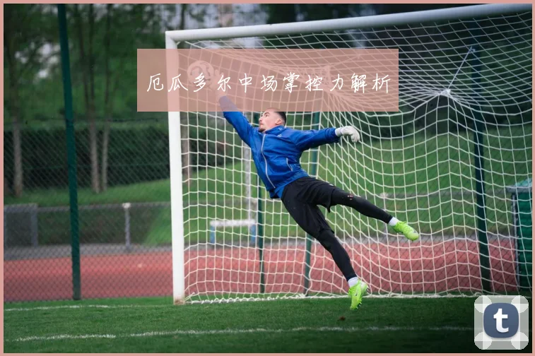 厄瓜多尔中场掌控力解析