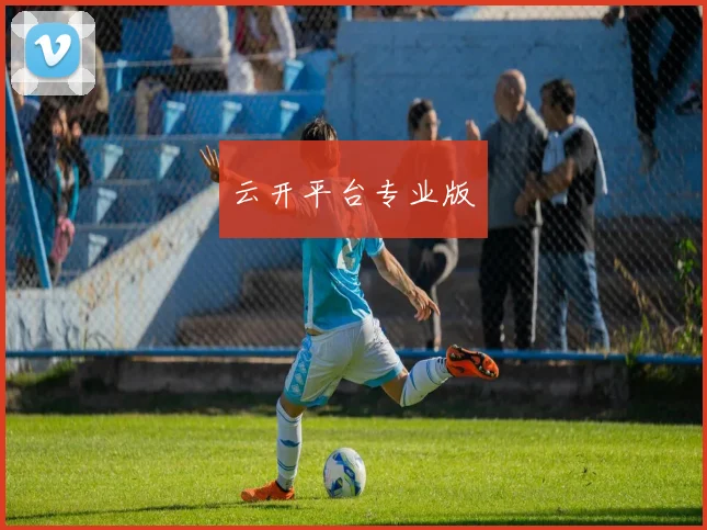 云开平台专业版