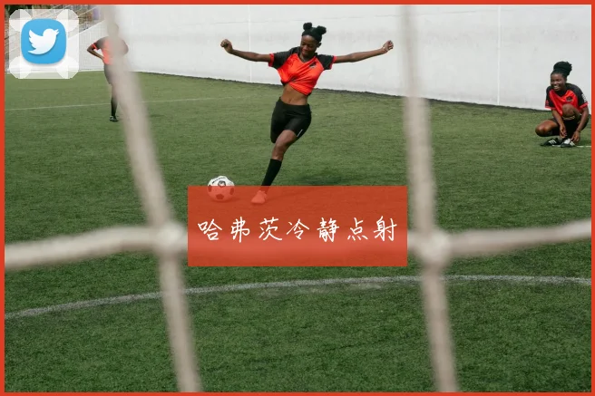 哈弗茨冷静点射