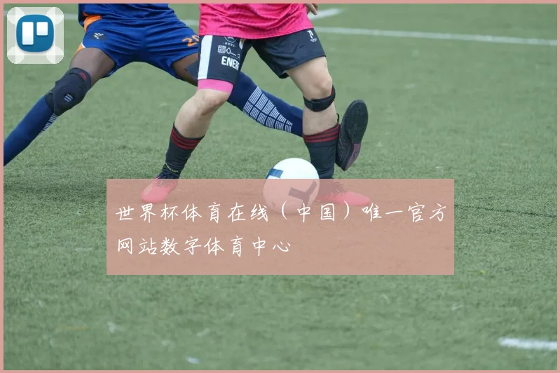 世界杯体育在线（中国）唯一官方网站数字体育中心