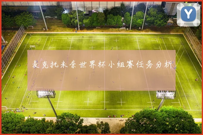 麦克托米奈世界杯小组赛任务分析
