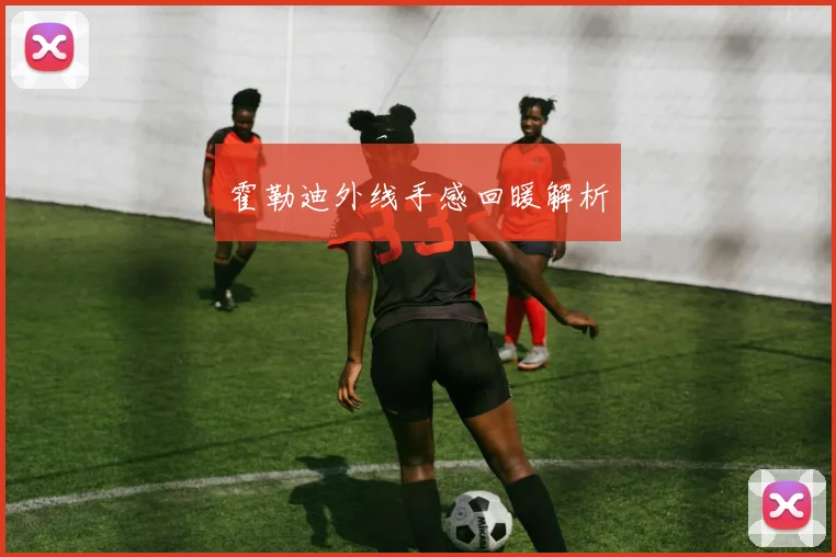 霍勒迪外线手感回暖解析