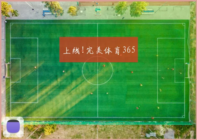 上线!完美体育365