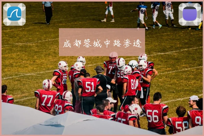 成都蓉城中路渗透