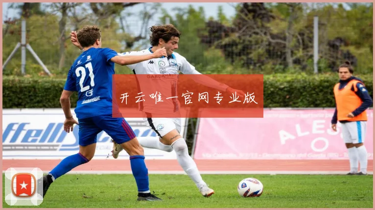 开云唯一官网专业版