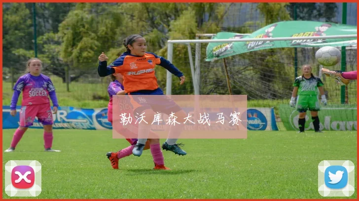勒沃库森大战马赛