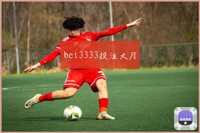 bet3333投注大厅