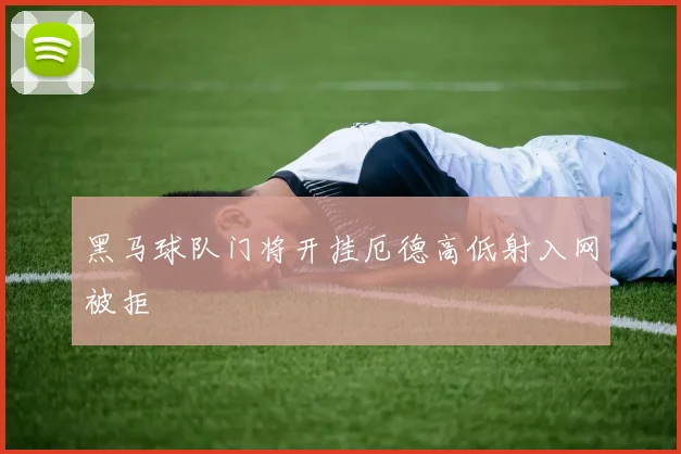 黑马球队门将开挂厄德高低射入网被拒