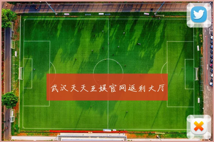 武汉天天互娱官网返利大厅