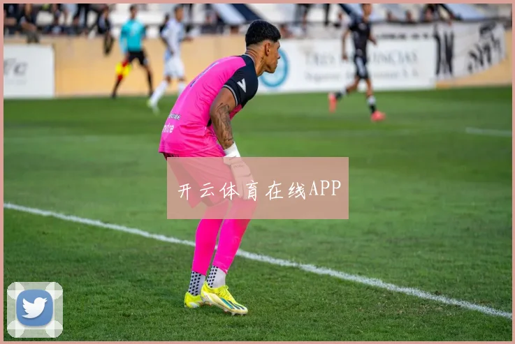 开云体育在线APP