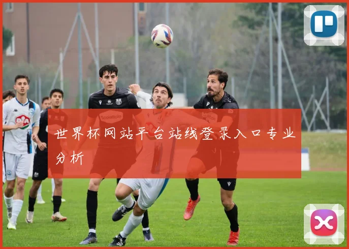 世界杯网站平台站线登录入口专业分析