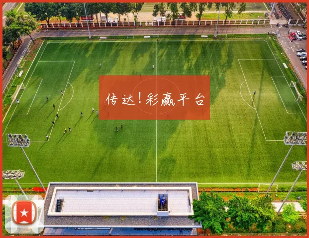 传达!彩赢平台