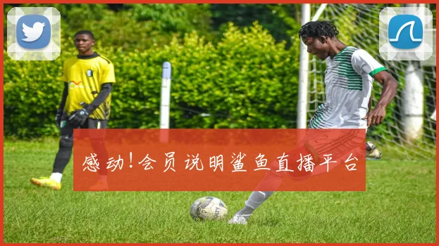 感动!会员说明鲨鱼直播平台