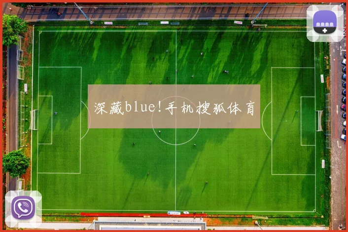深藏blue!手机搜狐体育