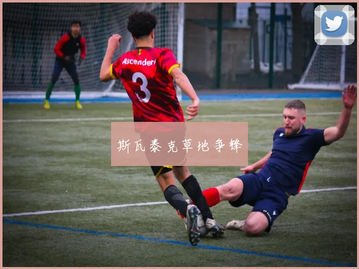斯瓦泰克草地争锋