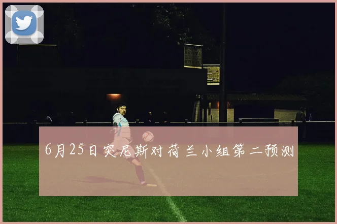 6月25日突尼斯对荷兰小组第二预测