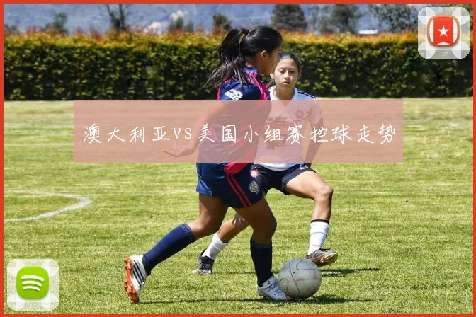 澳大利亚vs美国小组赛控球走势