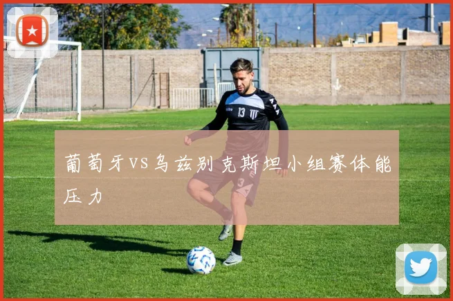 葡萄牙vs乌兹别克斯坦小组赛体能压力