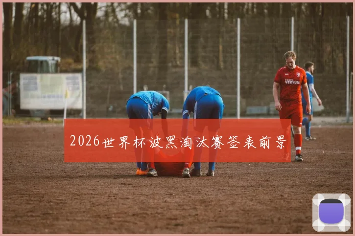 2026世界杯波黑淘汰赛签表前景