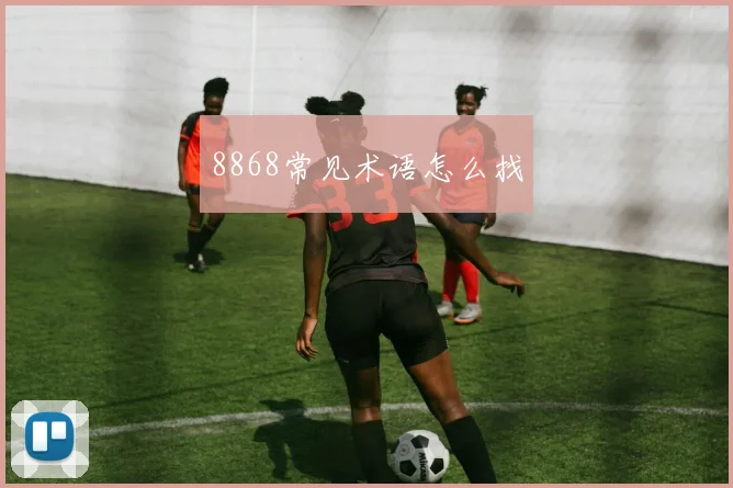 8868常见术语怎么找